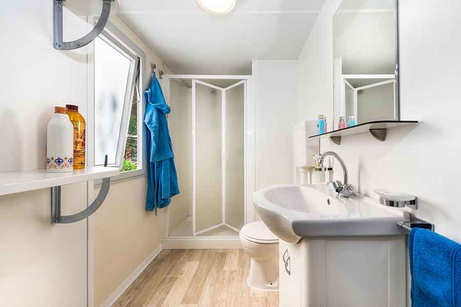 Bathroom with shower of the maxi caravan