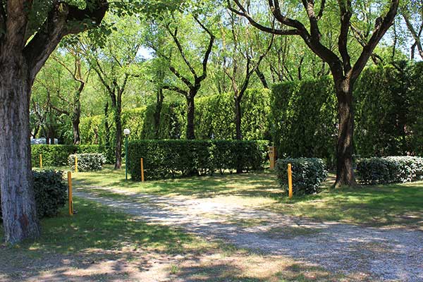 Shaded pitches delimited by hedges