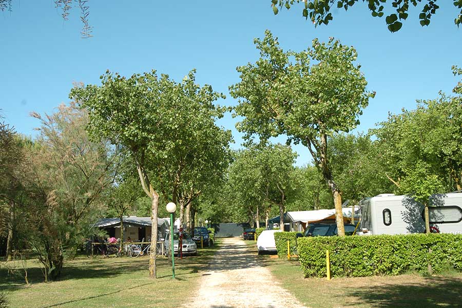 Pitches with tents and caravans