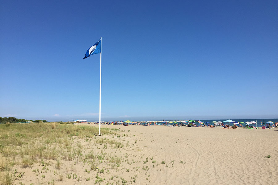 Boy with flippers and mask on the shore